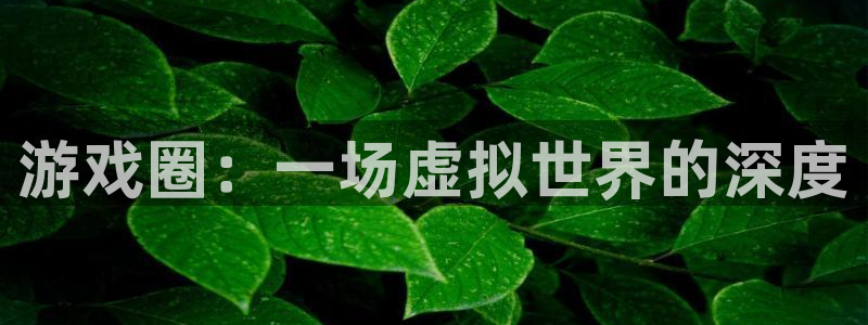 星欧娱乐官方平台：游戏圈：一场虚拟世界的深度