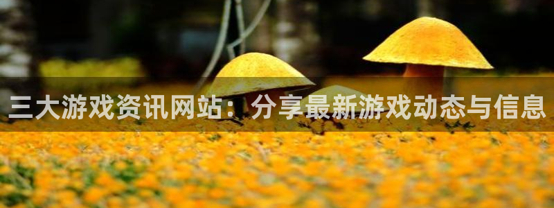 星欧娱乐在线登录：三大游戏资讯网站：分享最新游戏动态与信息