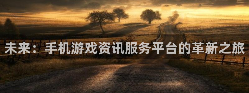 星欧娱乐注册账号：未来：手机游戏资讯服务平台的革新之旅