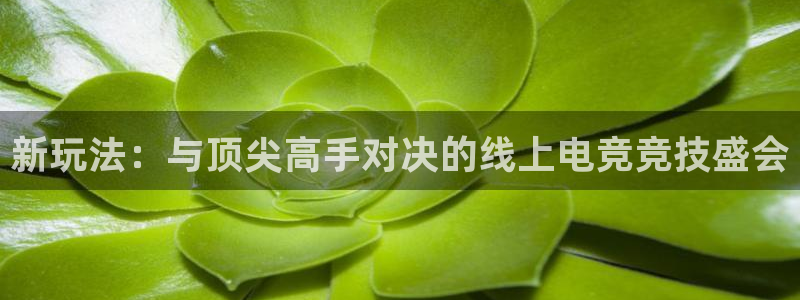 星欧娱乐注册登录：新玩法：与顶尖高手对决的线上电竞竞技盛会