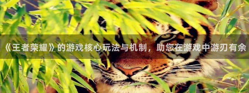 星欧娱乐平台官网登录：《王者荣耀》的游戏核心玩法与机制，助您