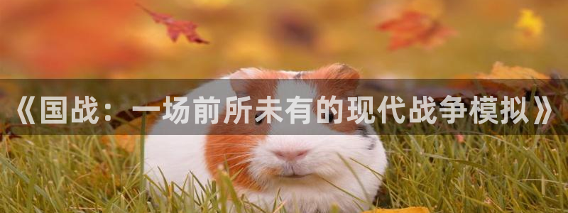 星欧娱乐平台官网入口：《国战：一场前所未有的现代战争模拟》