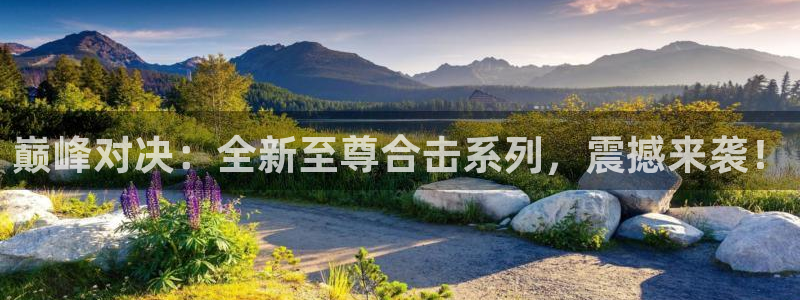 星欧娱乐app：巅峰对决：全新至尊合击系列，震撼来袭！