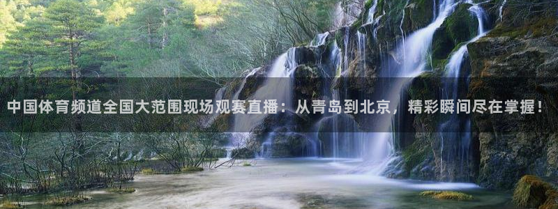 火凤直播足球