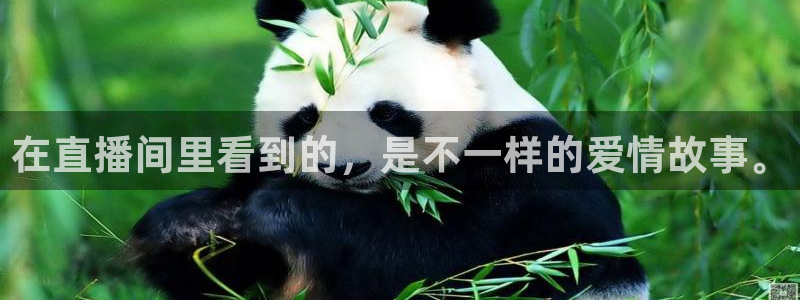 火凤直播体育免费直播火箭：在直播间里看到的，是不一样的爱情故事。