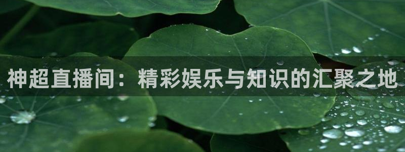 火凤直播体育足球：神超直播间：精彩娱乐与知识的汇聚之地