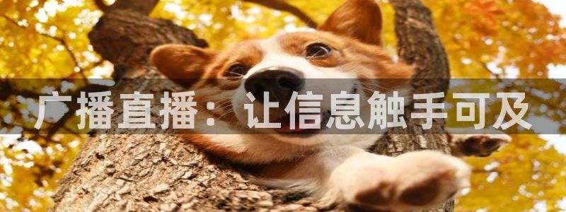 火凤体育赛事直播：广播直播：让信息触手可及
