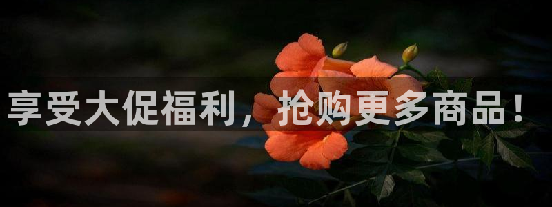 nba火凤直播：享受大促福利，抢购更多商品！